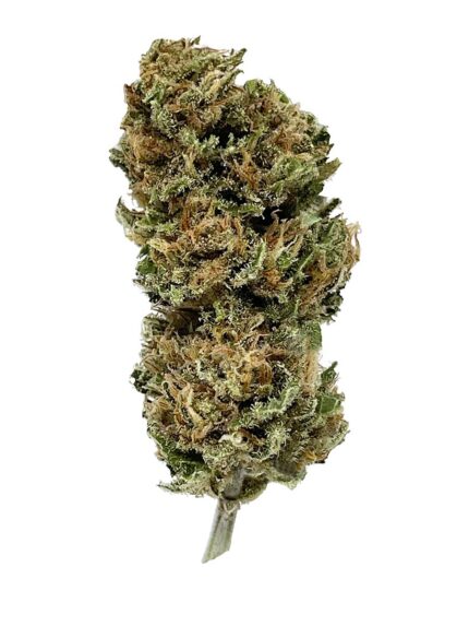 Candy-Kush