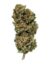 Candy-Kush