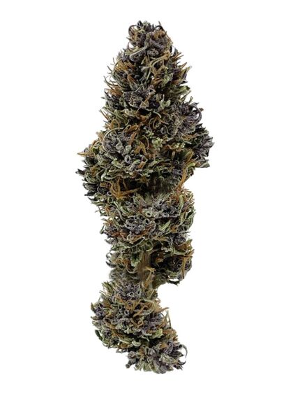 Purple-Haze