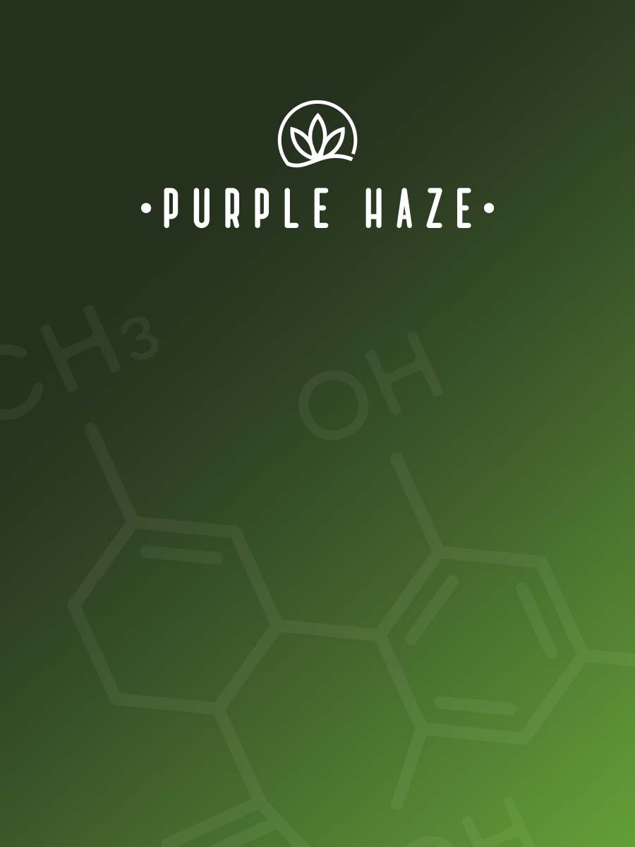 Purple-Haze-cover Purple-Haze-cover
